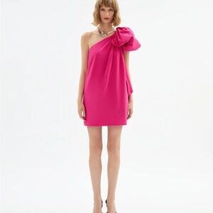 Delphine Corey Dress - Elegant Pink One-Shoulder Dress